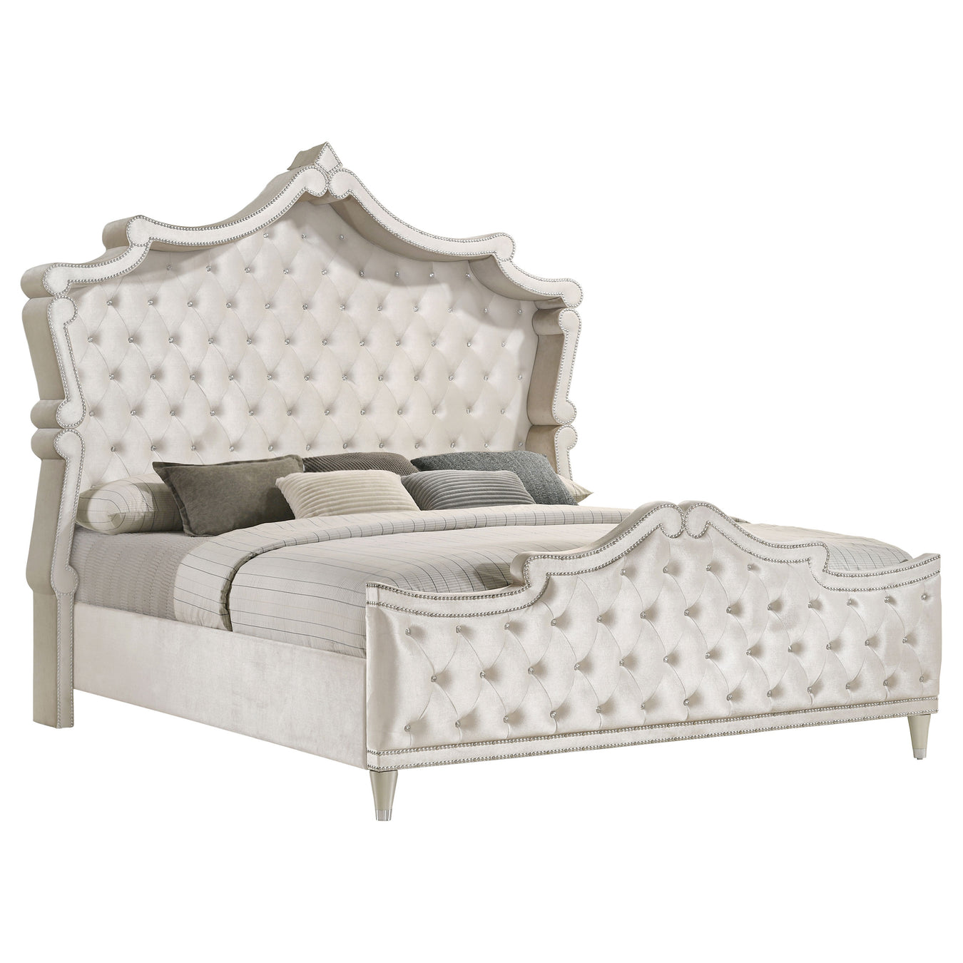 Antonella Collection