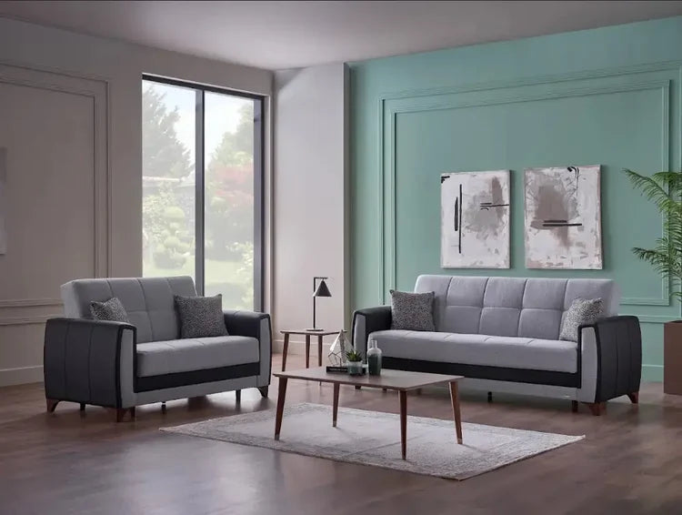 Dublin sleeper sofa & loveseat