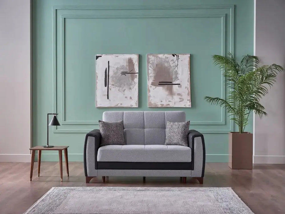 Dublin sleeper sofa & loveseat
