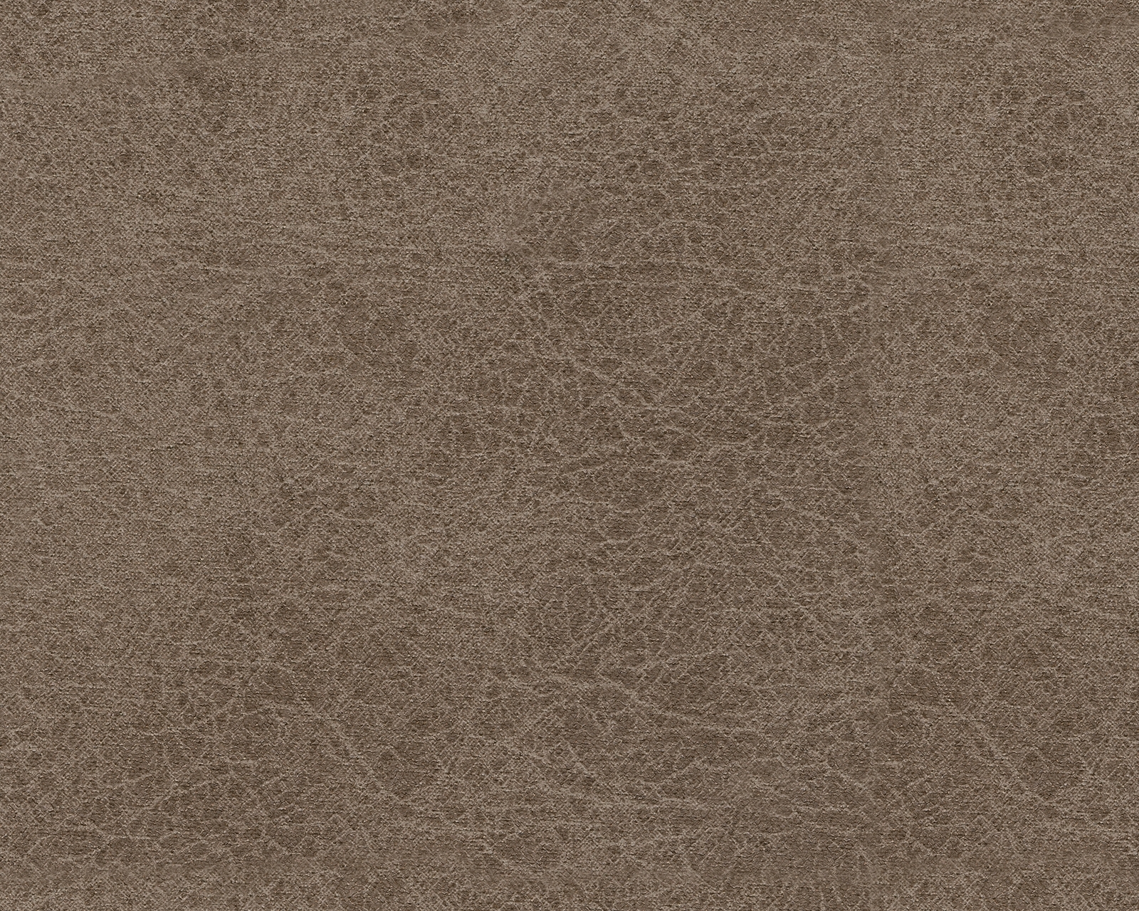 Navi - Sofa - Fossil - Image 6